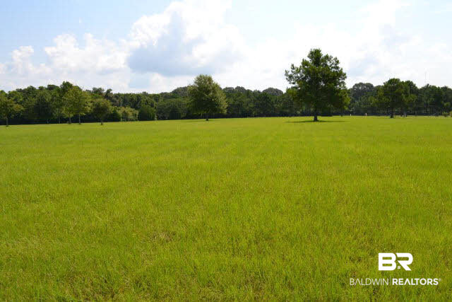 27608 County Road 65 Loxley, AL 36551 - Photo 1 of 32
