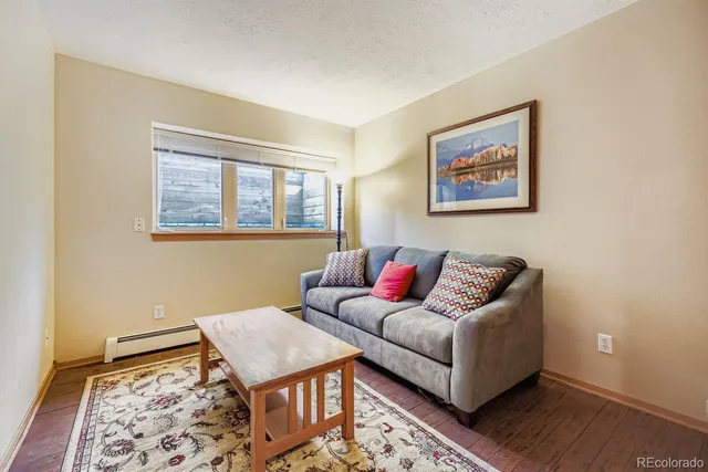 a living room with furniture and a rug