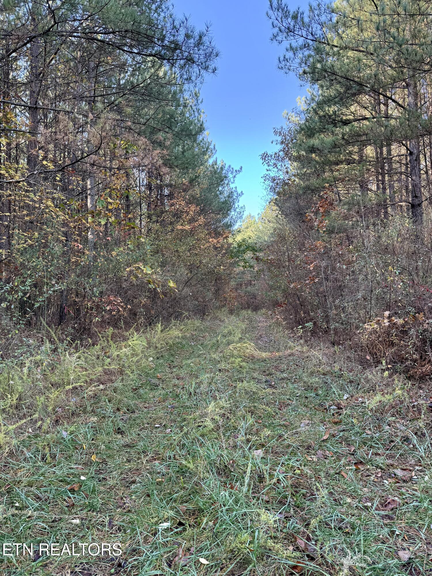 Airport Road Oakdale, TN 37829 - Photo 5 of 9 IMG_5260