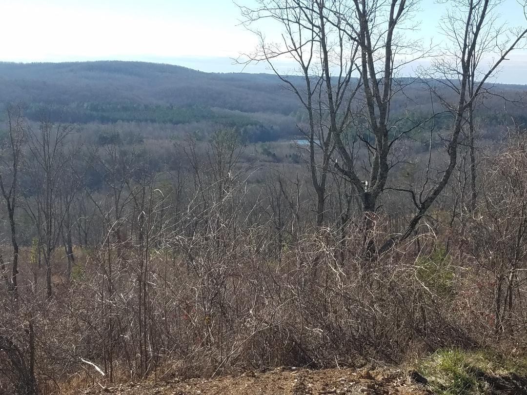 0 Big Spring Gap Road Crossville, TN 38572 - Photo 25 of 48 Gallery Image 25