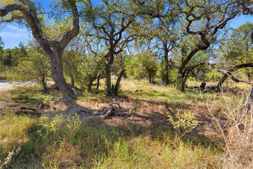 20204 Barnett Glenn Road Spicewood, TX 78669 - Photo 30 of 34 a view of a tree with a yard