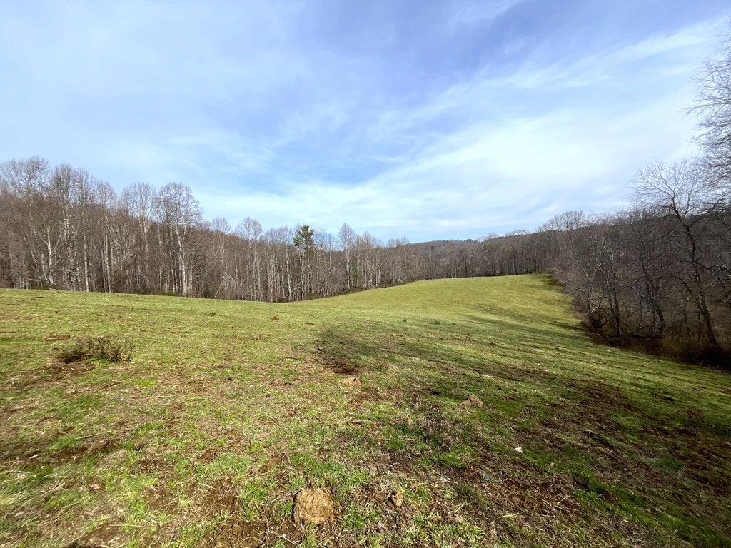 Tbd Tbd Dugpsur Road Dugspur, VA 24325 - Photo 15 of 27 Gallery Image 15