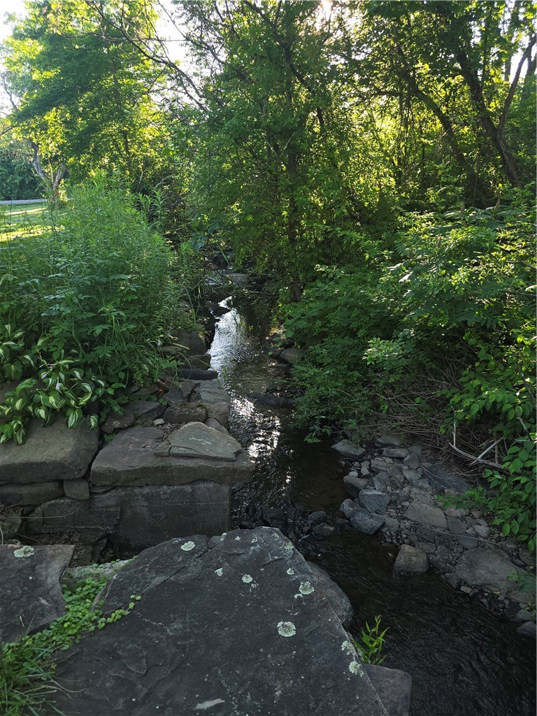 169 Pratt Road Norwich, NY 13815 - Photo 17 of 48 Lyon Brook