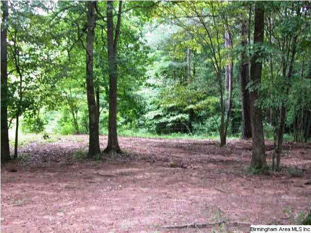 518 State Lake Road, Unit 21 ACRES Lineville, AL 36266 - Photo 6 of 9