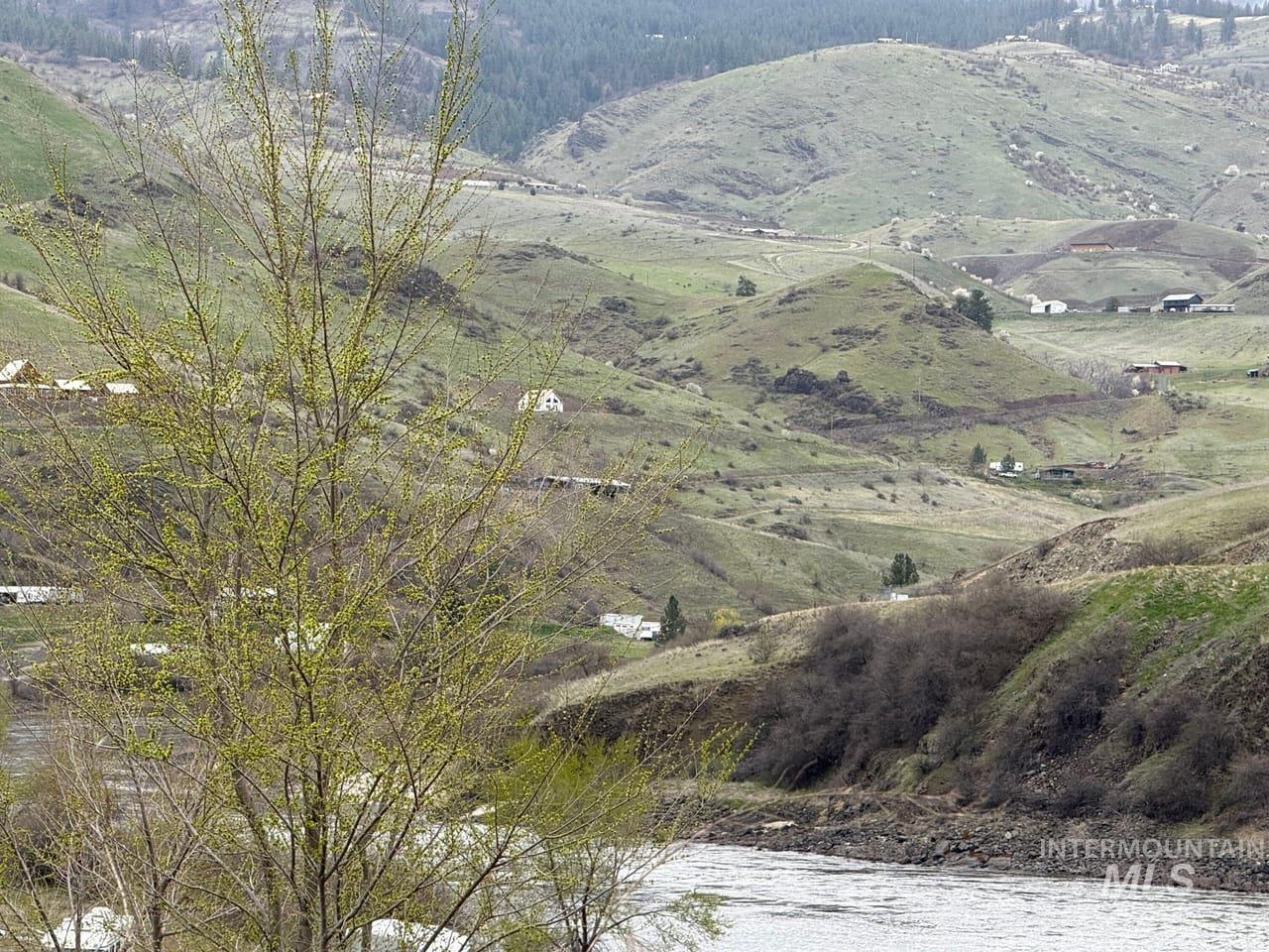 124 Whitebird Road White Bird, ID 83554 - Photo 5 of 9