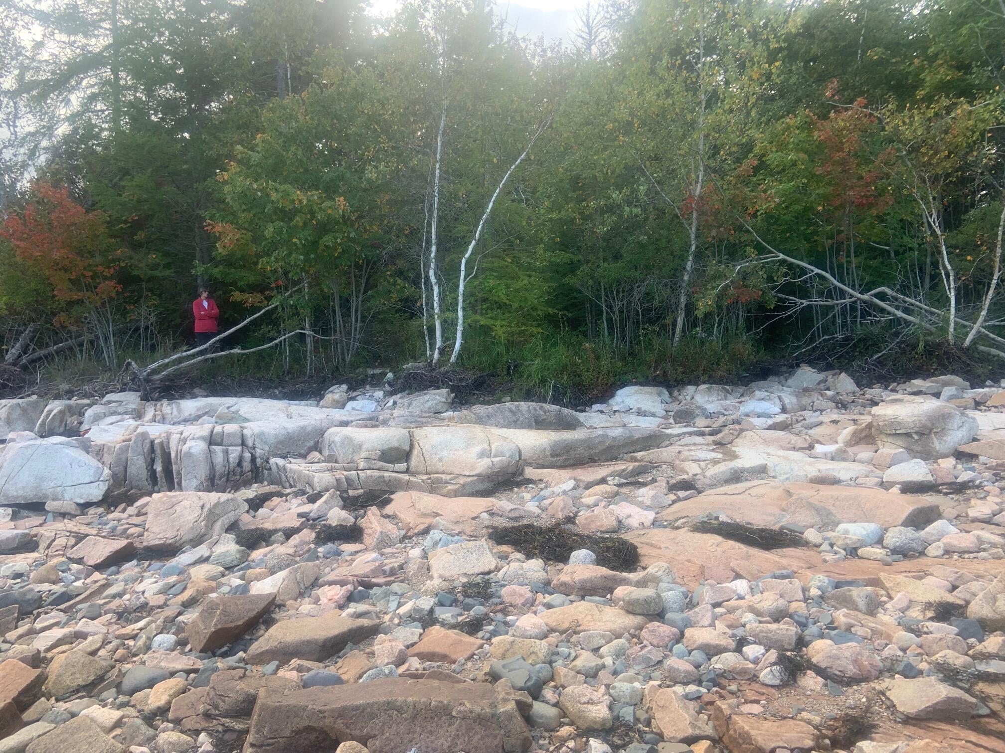 365 Paul Bunyan Road Gouldsboro, ME 04624 - Photo 11 of 19 IMG_0413