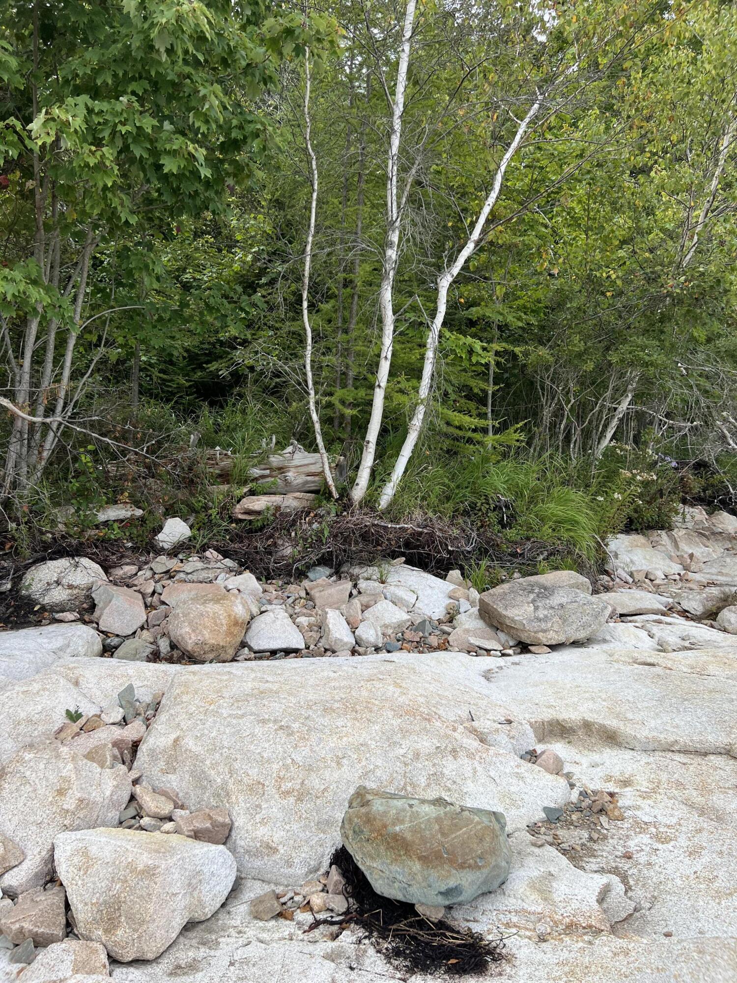 365 Paul Bunyan Road Gouldsboro, ME 04624 - Photo 12 of 19 Lot