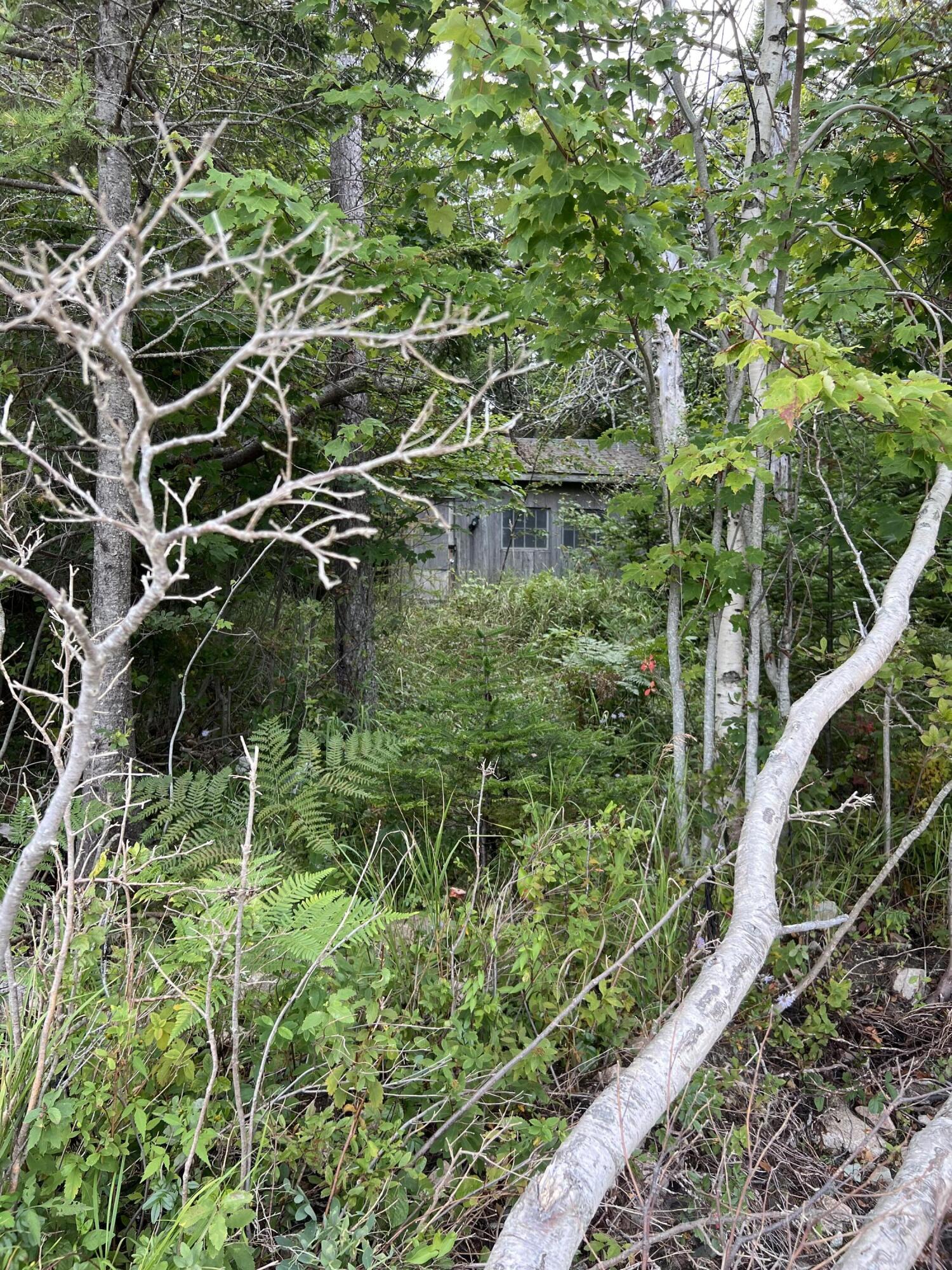365 Paul Bunyan Road Gouldsboro, ME 04624 - Photo 13 of 19 old shed