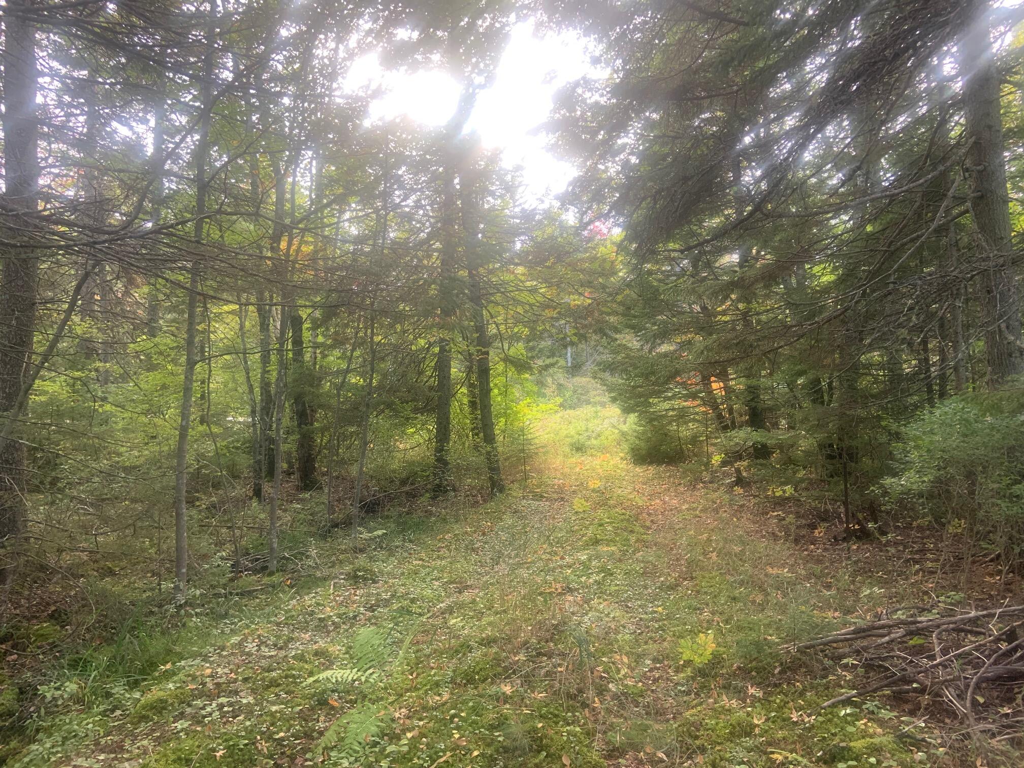 365 Paul Bunyan Road Gouldsboro, ME 04624 - Photo 19 of 19 IMG_0410