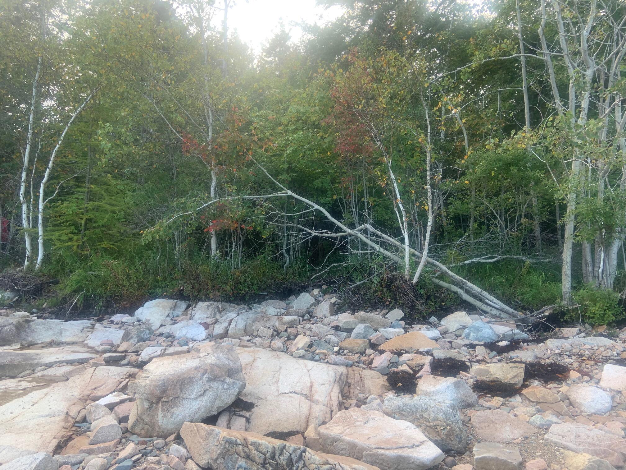 365 Paul Bunyan Road Gouldsboro, ME 04624 - Photo 10 of 19 IMG_0415