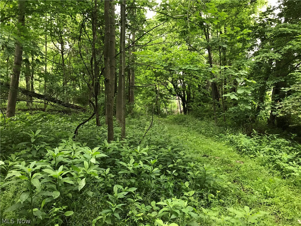 Lexington Springmill Road Mansfield, OH 44904 - Photo 11 of 23