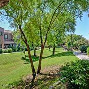 3935 East Rough Rider Road, Unit 1360 Phoenix, AZ 85050 - Photo 35 of 43 AVIANO Community Open Area