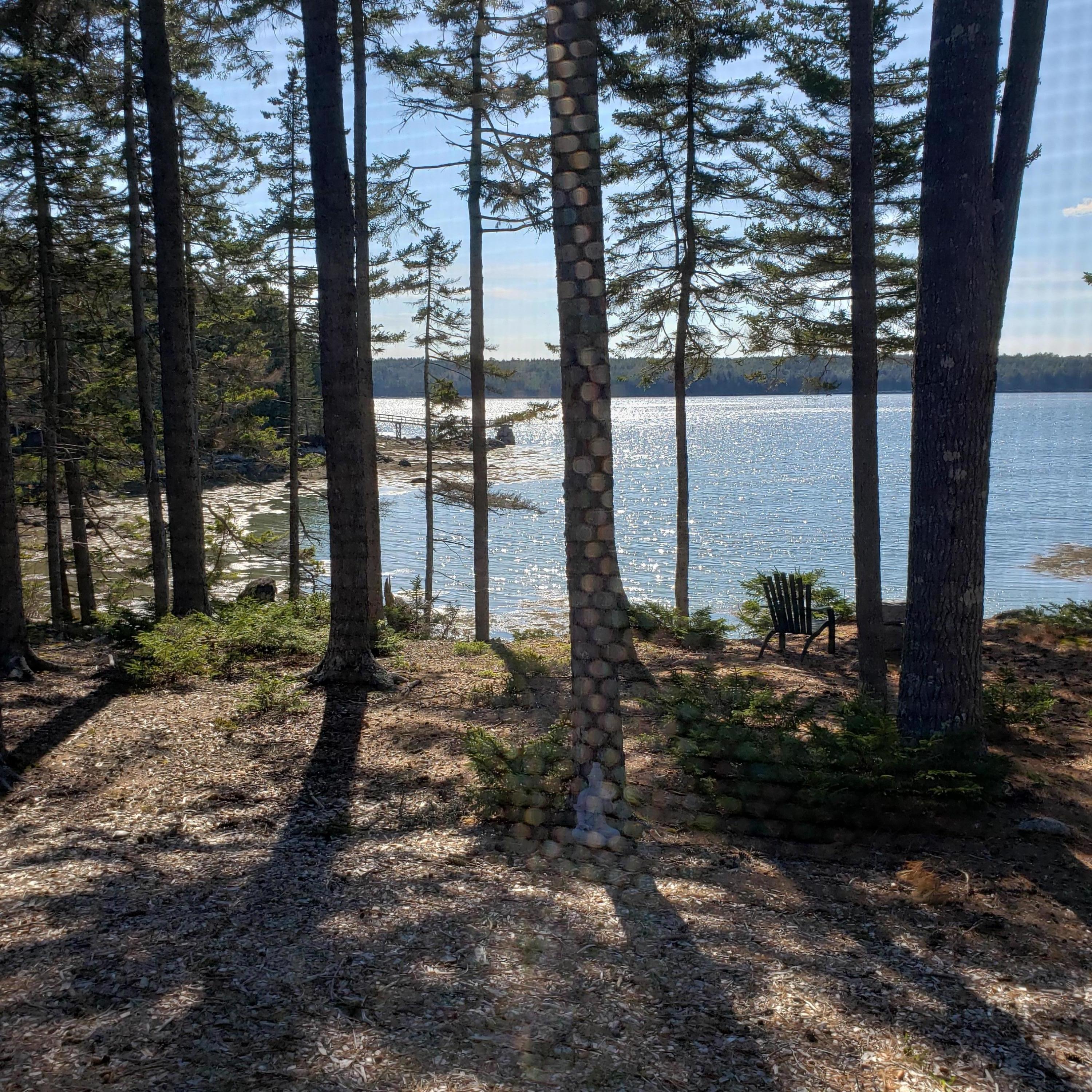 143 Eby Road Friendship, ME 04547 - Photo 29 of 63 Looking south west on cove