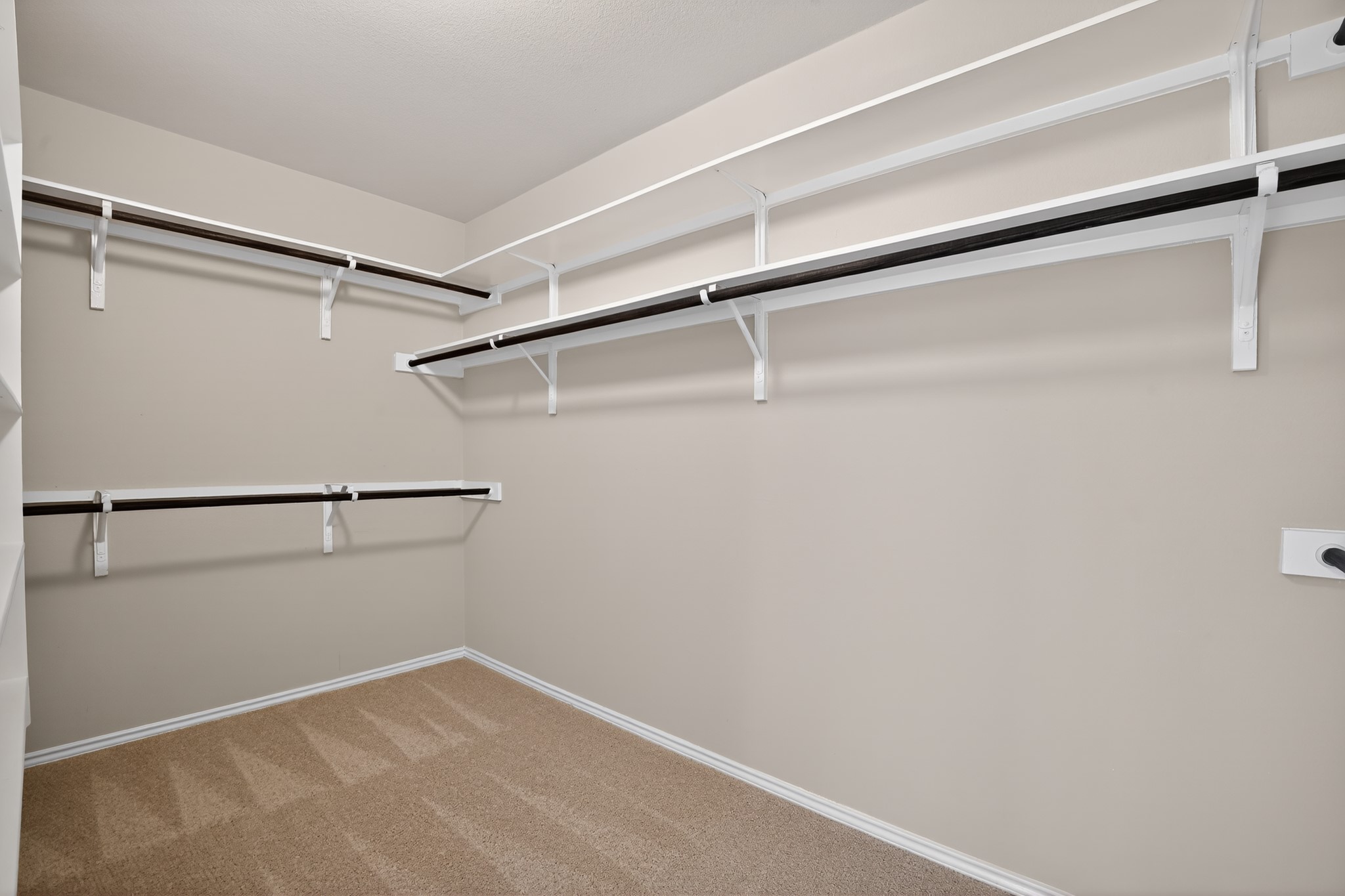 16816 Ruggio Road Pflugerville, TX 78660 - Photo 19 of 30 Primary bedroom closet