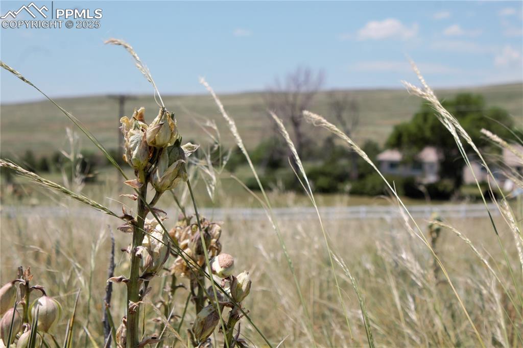 6 McClelland Road Calhan, CO 80808 - Photo 4 of 9 a view of a house