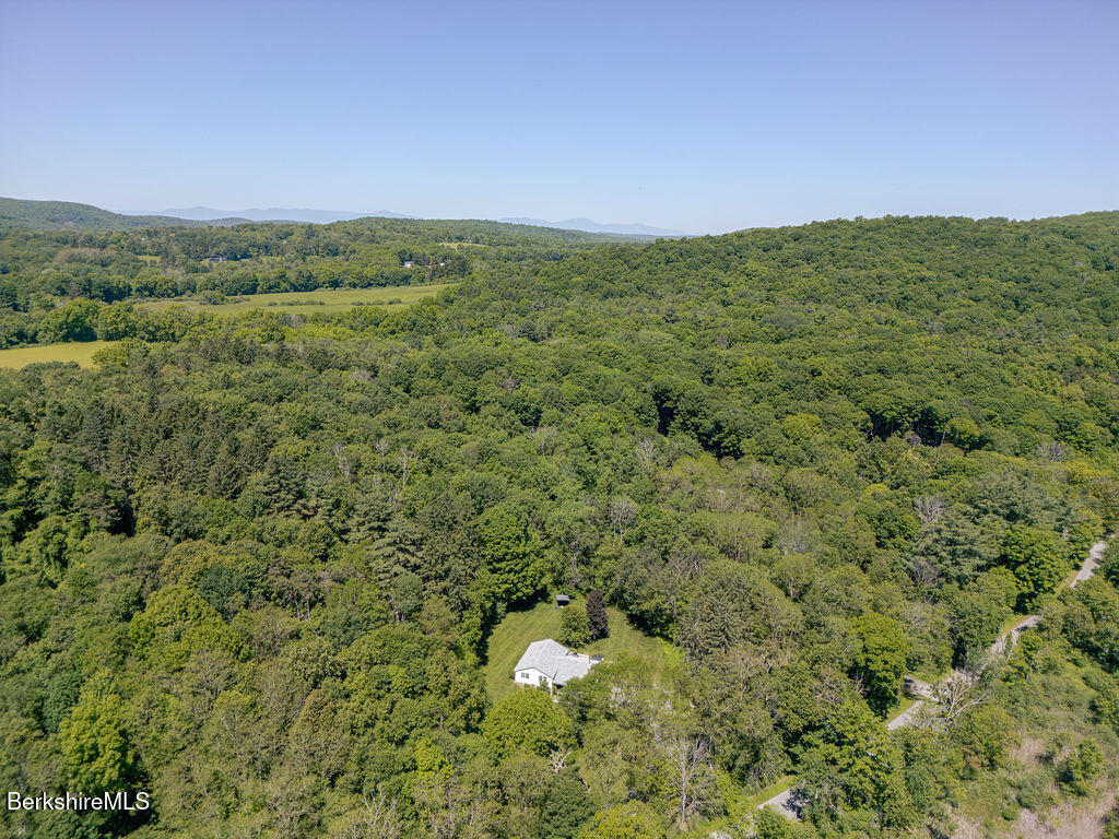 145 Snyder Pond Road Copake, NY 12516 - Photo 35 of 36 Aerial