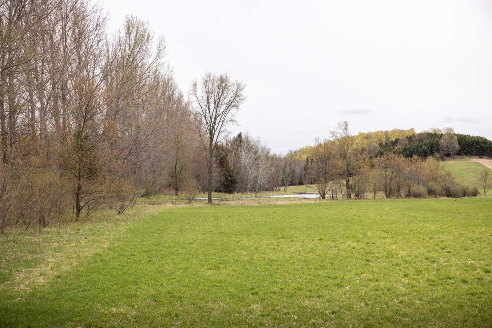 4331 South French Road Cedar, MI 49621 - Photo 42 of 52