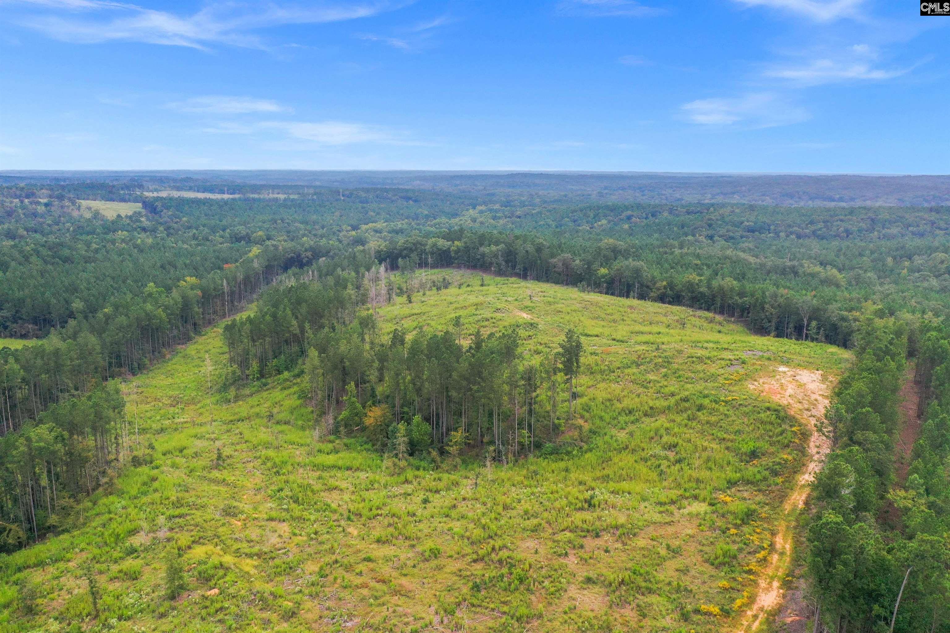 0 Penner Road, Unit 10 Jenkinsville, SC 29065 - Photo 10 of 43
