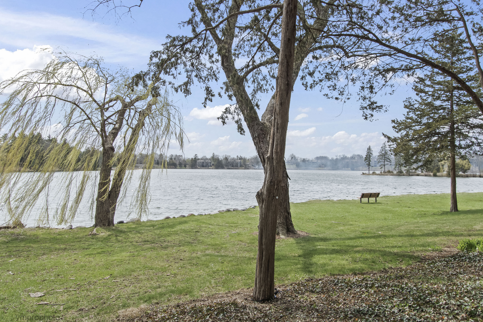 312 Woodview Road Lake Barrington, IL 60010 - Photo 4 of 54