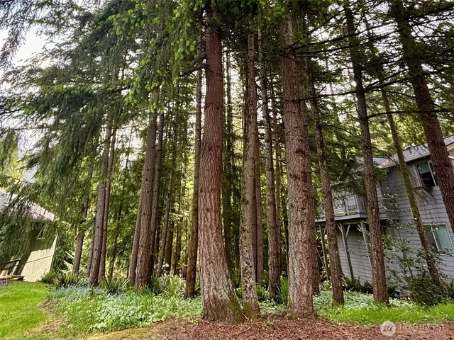 a backyard of a house with lots of trees