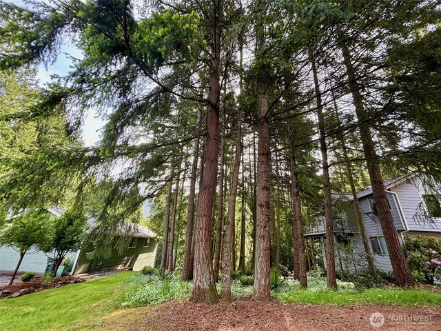 a view of a backyard with large trees