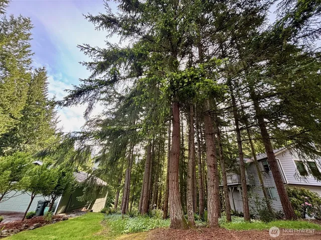 an outdoor space with trees