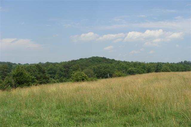 Lot4 Tree Farm Road, Unit ATROCK ROAD Walhalla, SC 29691 - Photo 3 of 4 Gallery Image 3