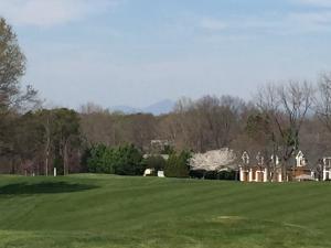 845 Gangplank Road, Unit 216 Moneta, VA 24121 - Photo 27 of 33 #6 Fairway