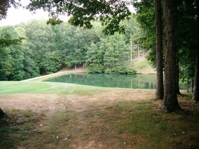 845 Gangplank Road, Unit 216 Moneta, VA 24121 - Photo 30 of 33 #3 Pond