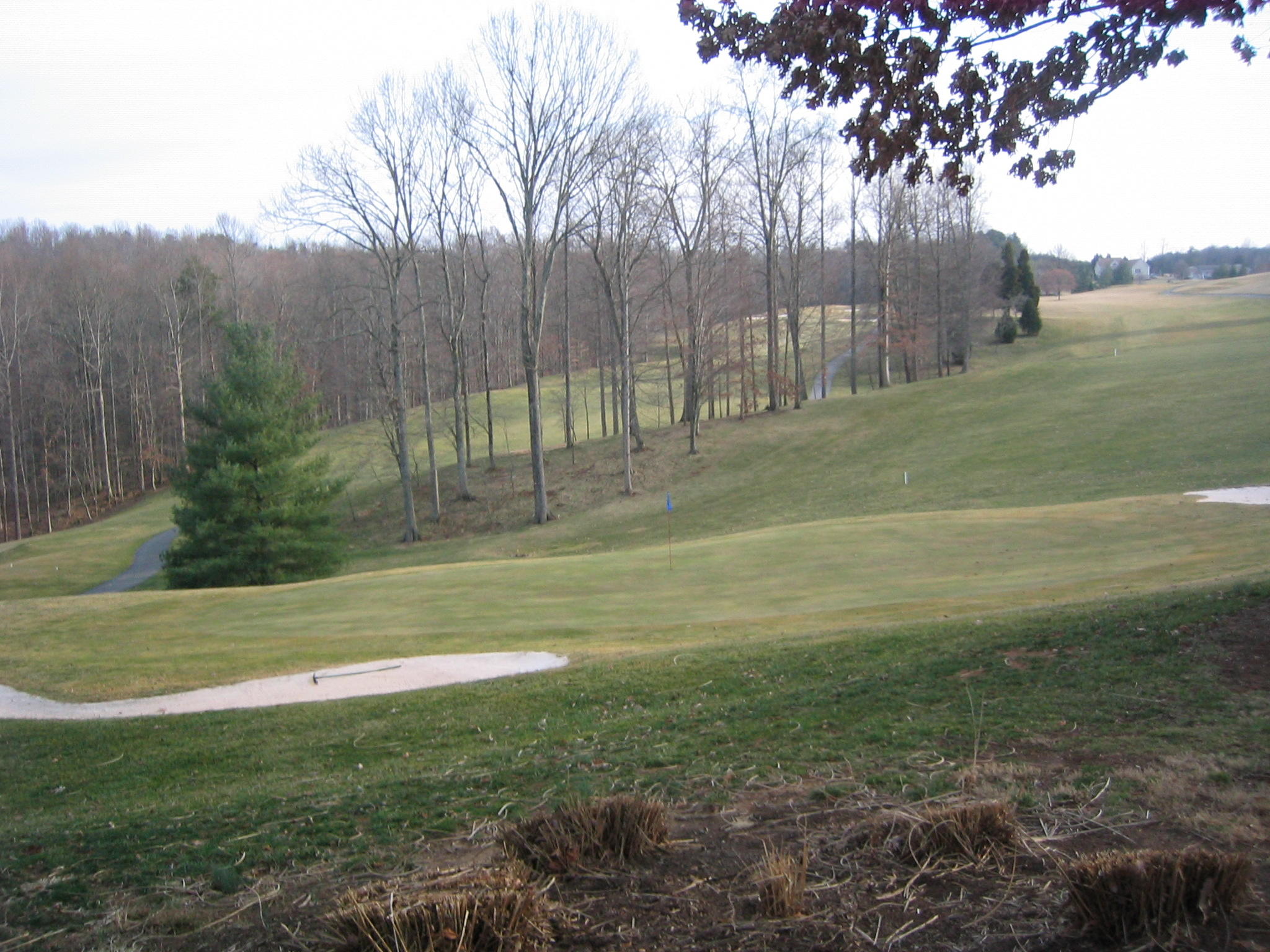845 Gangplank Road, Unit 216 Moneta, VA 24121 - Photo 31 of 33 #16 green to Fairway - Copy
