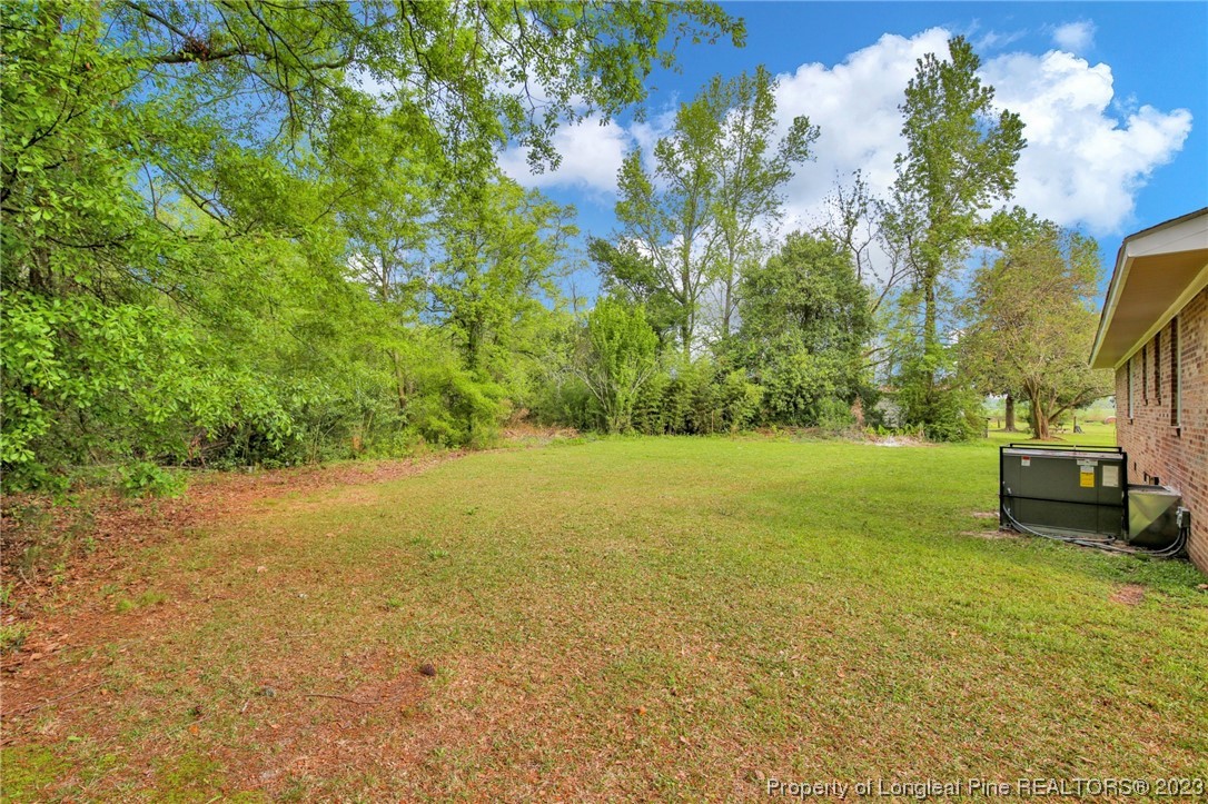 760 Horne Road Rowland, NC 28383 - Photo 30 of 30 a view of a field with an trees