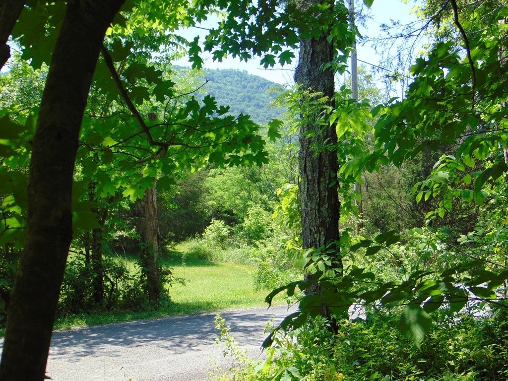 468 Co Road Englewood, TN 37329 - Photo 7 of 33