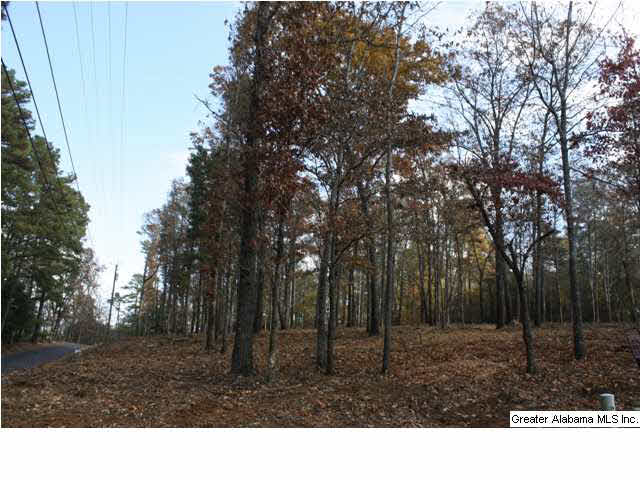 Peyton Place, Unit 3 Weaver, AL 36277 - Photo 3 of 40