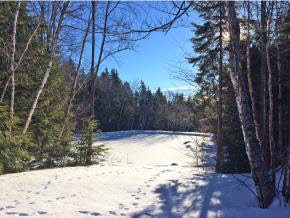 2654 Weston-Andover Road Andover, VT 05143 - Photo 4 of 27