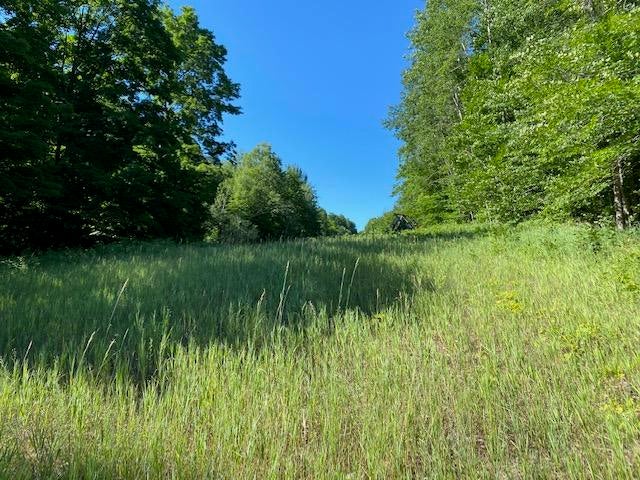 Seldon Road Petoskey, MI 49770 - Photo 21 of 21 Gallery Image 21