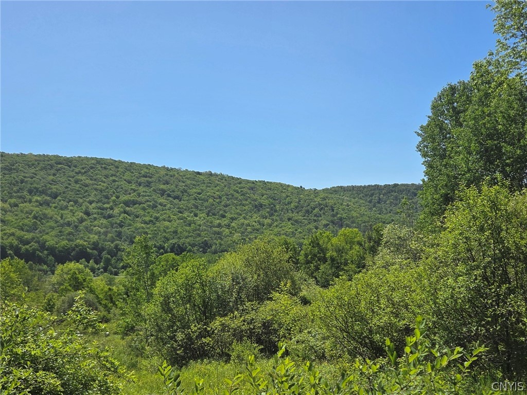 446 Nys Route Cuba, NY 14727 - Photo 29 of 47