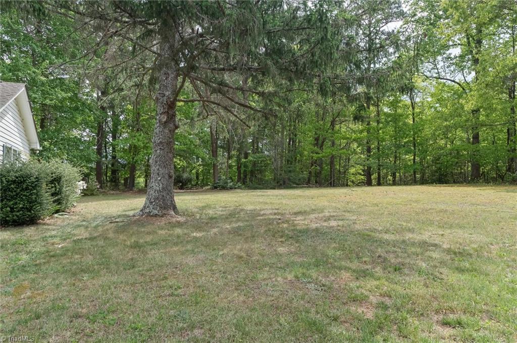 388 Eldora Road Ararat, NC 27007 - Photo 25 of 31 Gallery Image 25