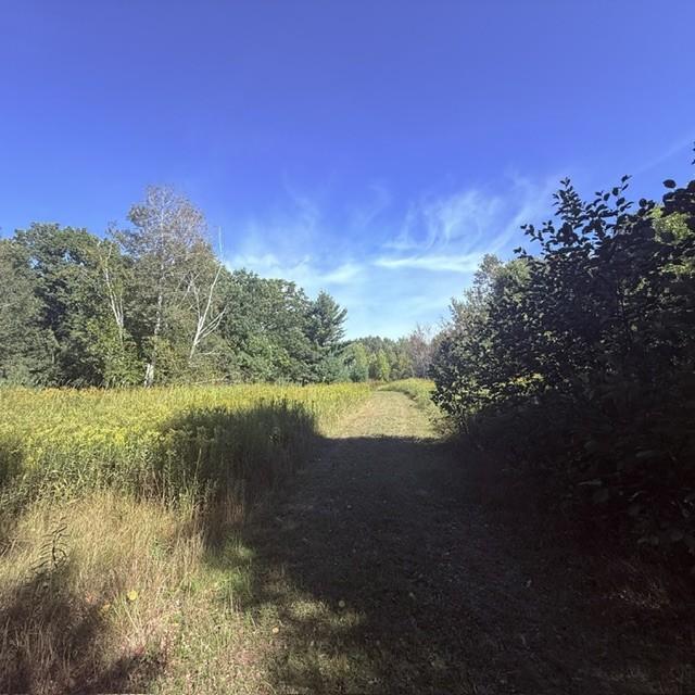 Tbd West Lilja Avenue Shell Lake, WI 54871 - Photo 23 of 23 Gallery Image 23