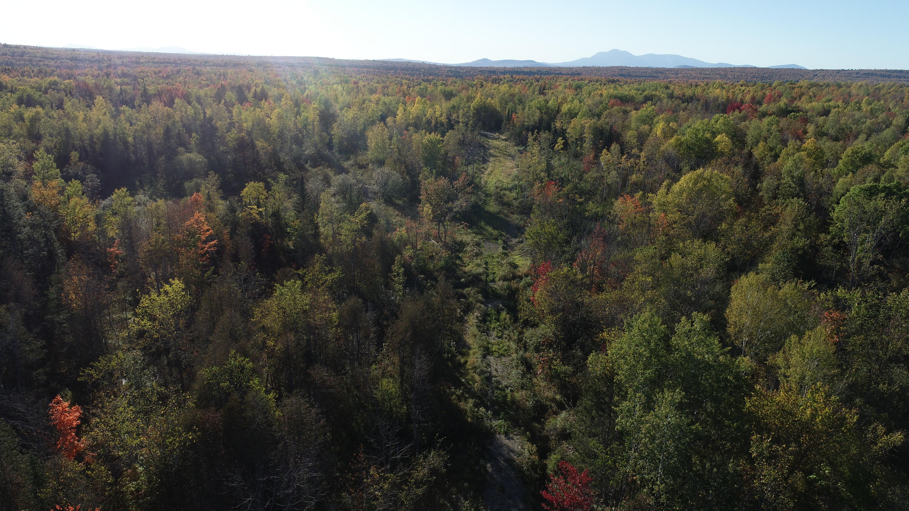 715 Benedicta Road Benedicta, ME 04733 - Photo 8 of 31 DJI_0058