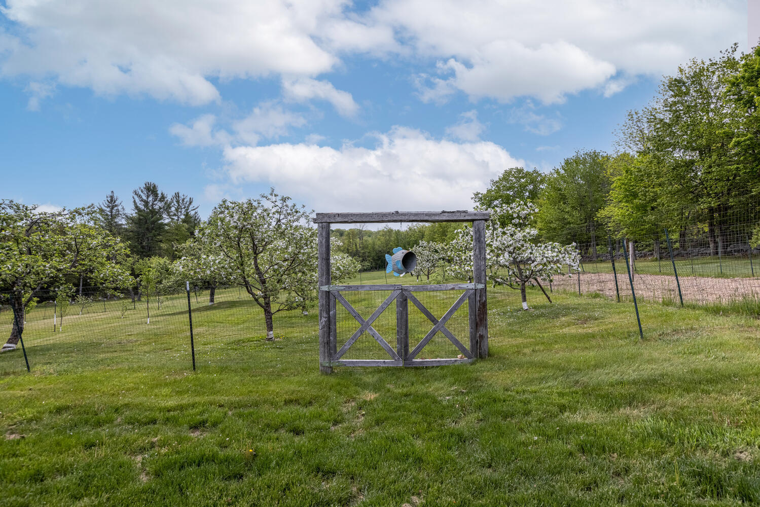 353 Bell Hill Road Otisfield, ME 04270 - Photo 11 of 106 353 Bell Hill Rd Otisfield ME-large-053-