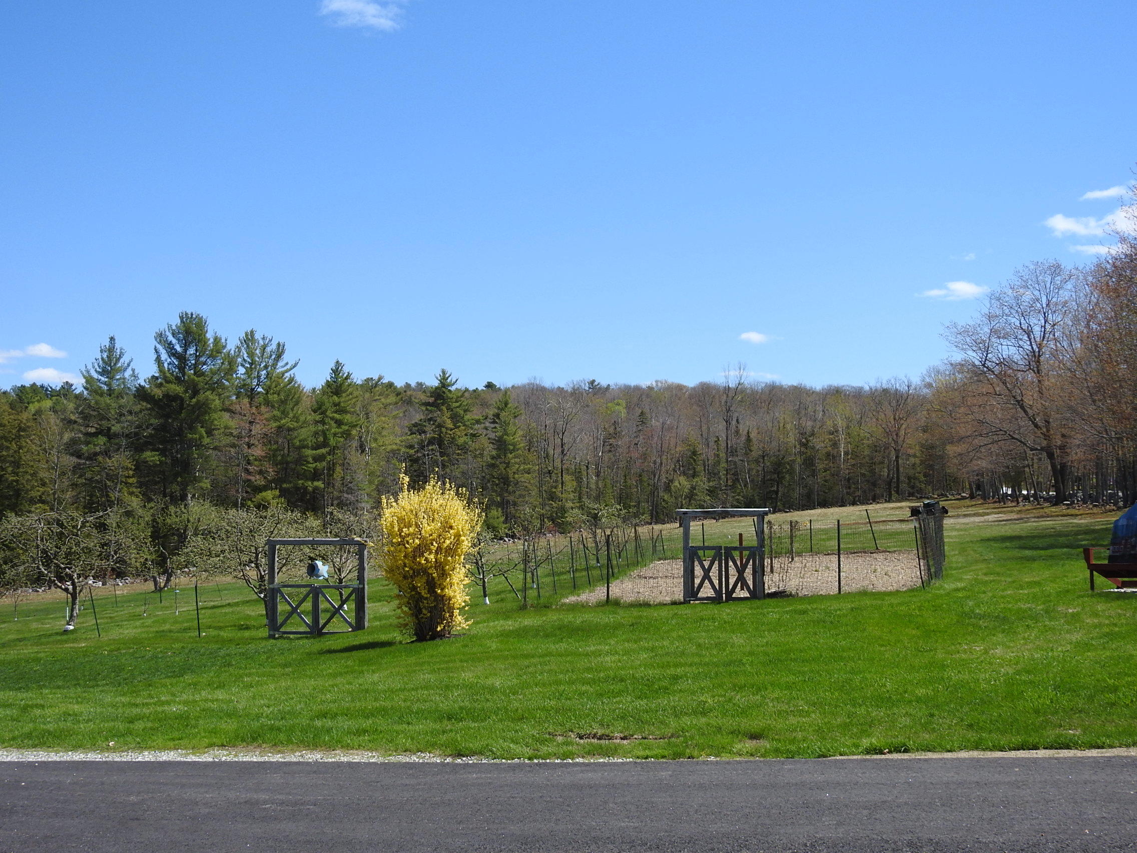353 Bell Hill Road Otisfield, ME 04270 - Photo 13 of 106 DSCN4464