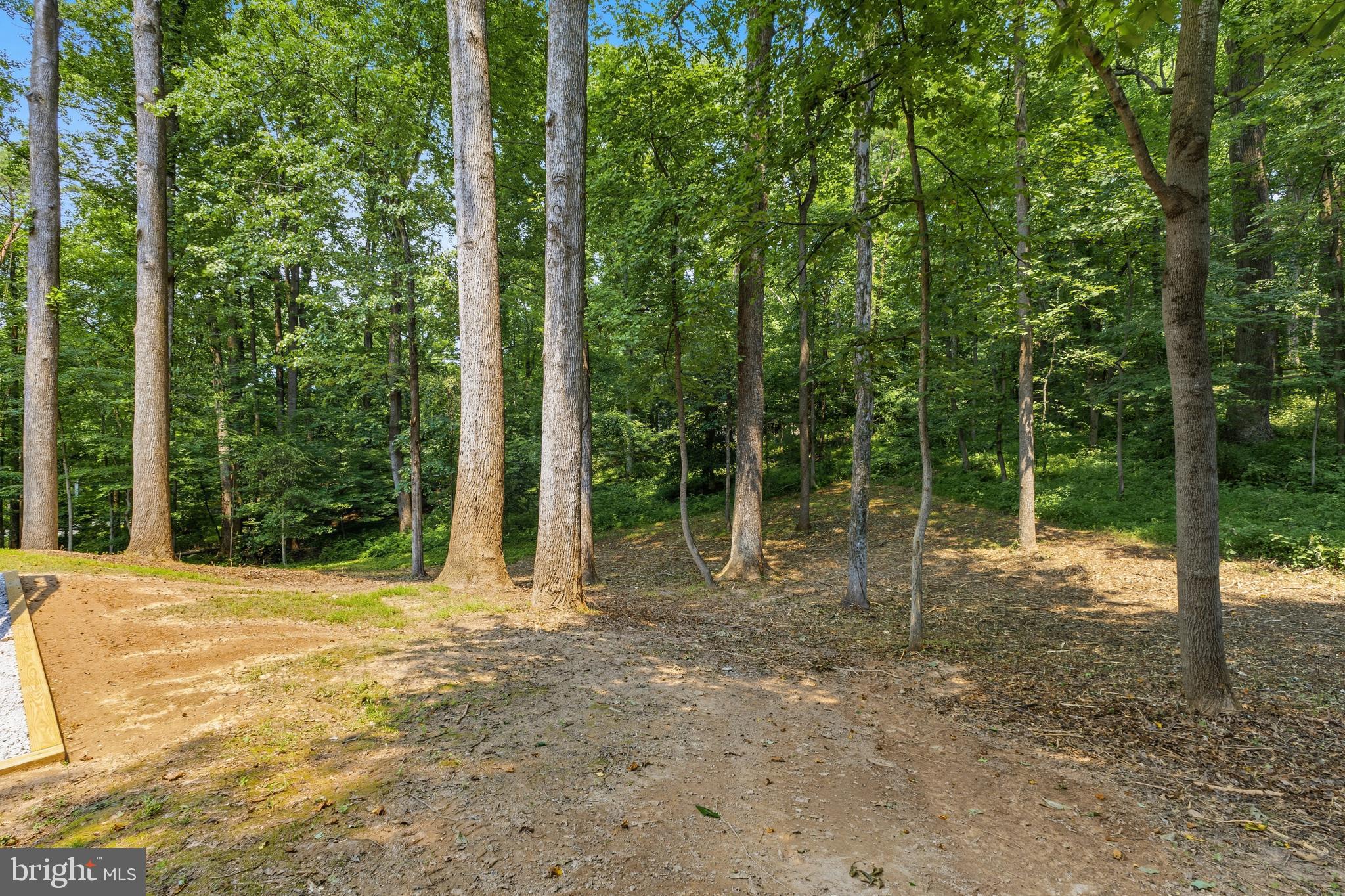 9200 Ripple Brook Road Great Falls, VA 22066 - Photo 39 of 43 Plenty of Privacy