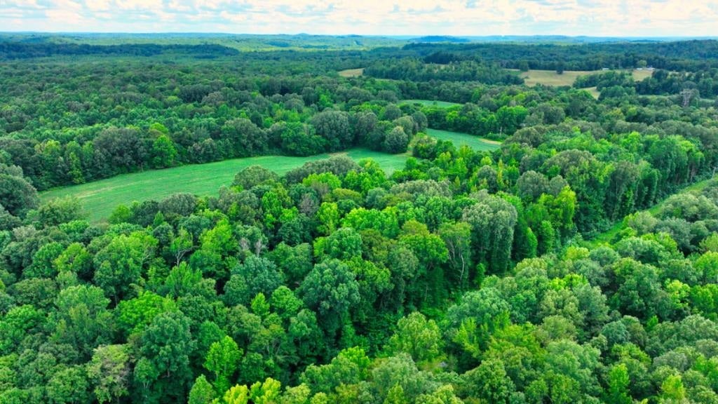 Penrod Lane Dunmor, KY 42339 - Photo 6 of 20 Gallery Image 6