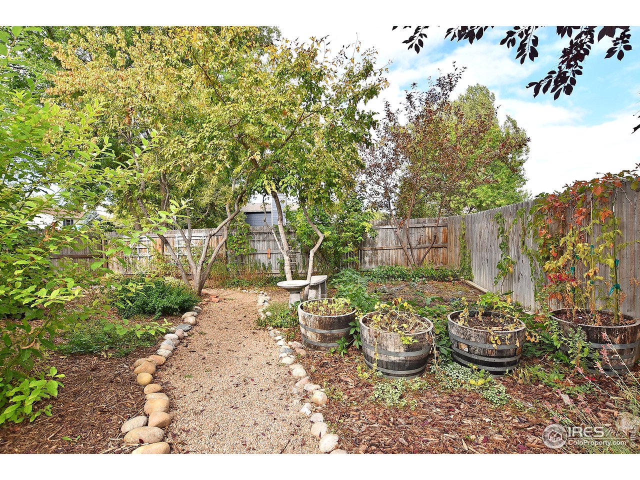 2300 Antelope Road Fort Collins, CO 80525 - Photo 37 of 40 Lots of great gardening space
