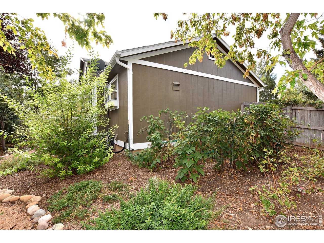 2300 Antelope Road Fort Collins, CO 80525 - Photo 38 of 40 Mature berry bushes for a sweet summer treat!