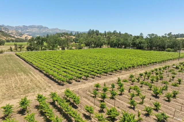 $9,750,000 | 3567 Highway 128, Calistoga, CA 94515