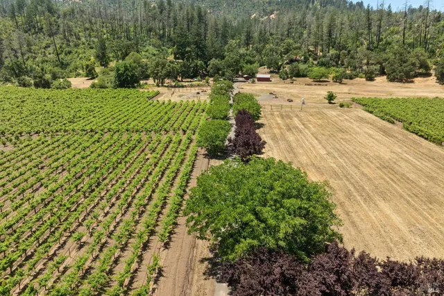 $9,750,000 | 3567 Highway 128, Calistoga, CA 94515