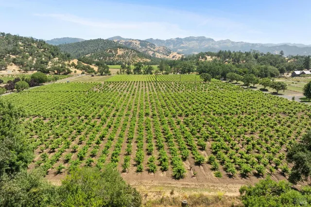 $9,750,000 | 3567 Highway 128, Calistoga, CA 94515