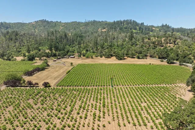 $9,750,000 | 3567 Highway 128, Calistoga, CA 94515