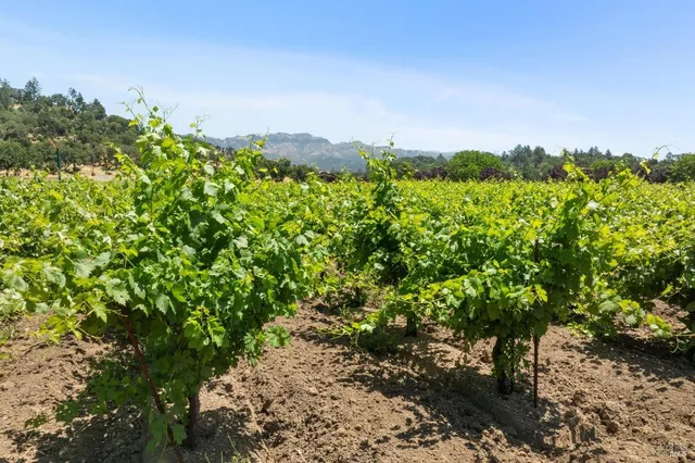 $9,750,000 | 3567 Highway 128, Calistoga, CA 94515